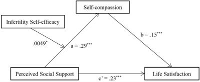 Perceived Social Support and Life Satisfaction in Infertile Women Undergoing Treatment: A Moderated Mediation Model